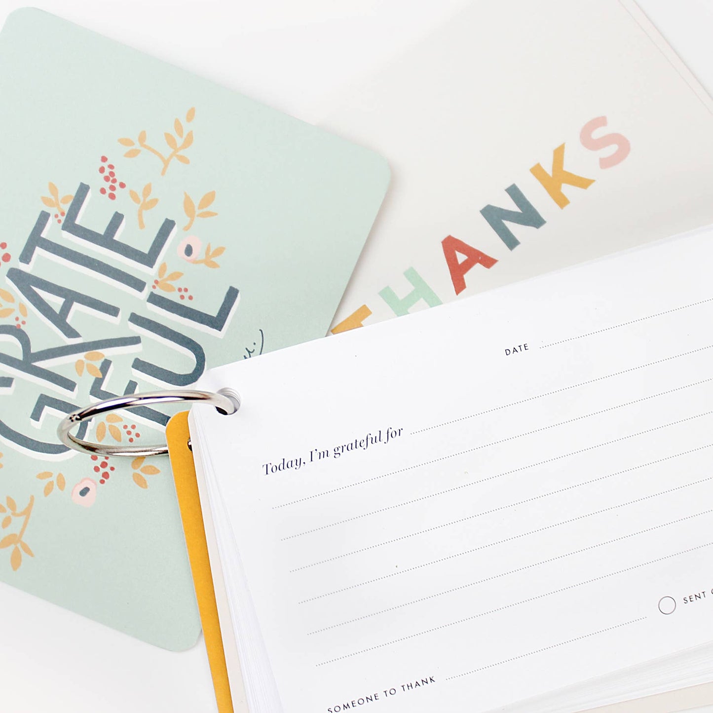 The Gratitude Journal