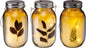 Botanical Jar Light Set