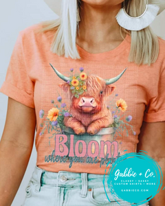 Bloom where you are planted Shaggy Cow